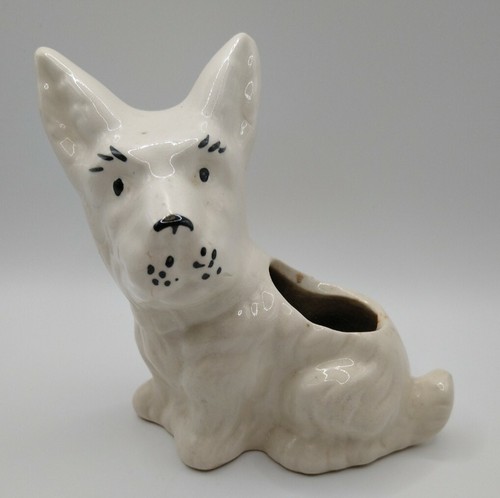 Shawnee white scottie - white, dog