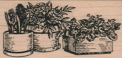 Three planters flowers 1 - three,